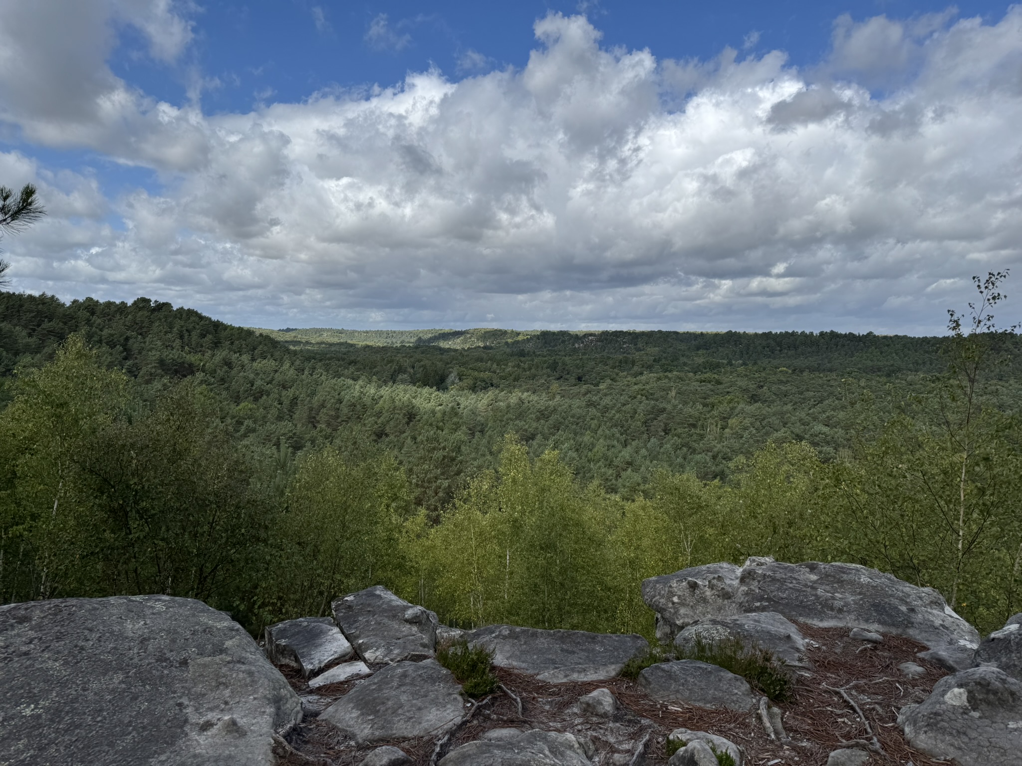 FORET FONTAINEBLEAU MILLY LA FORET