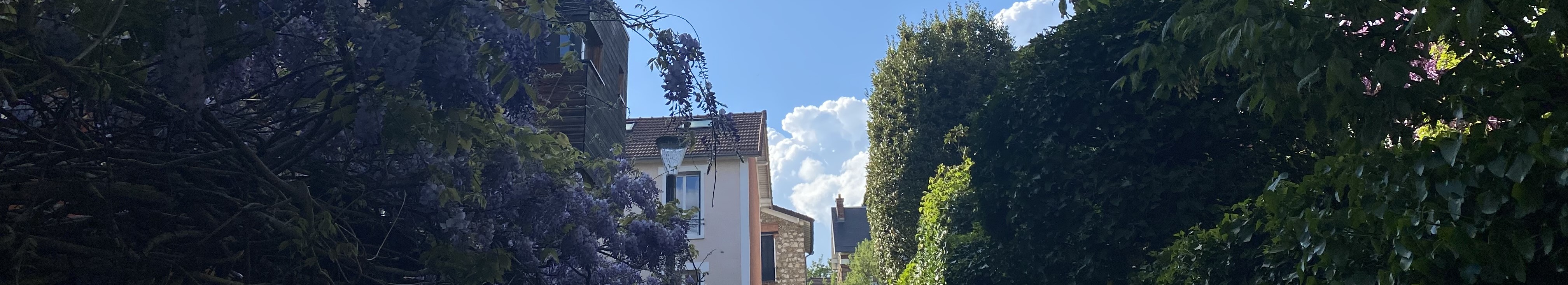 Sente La France Chaville notaire