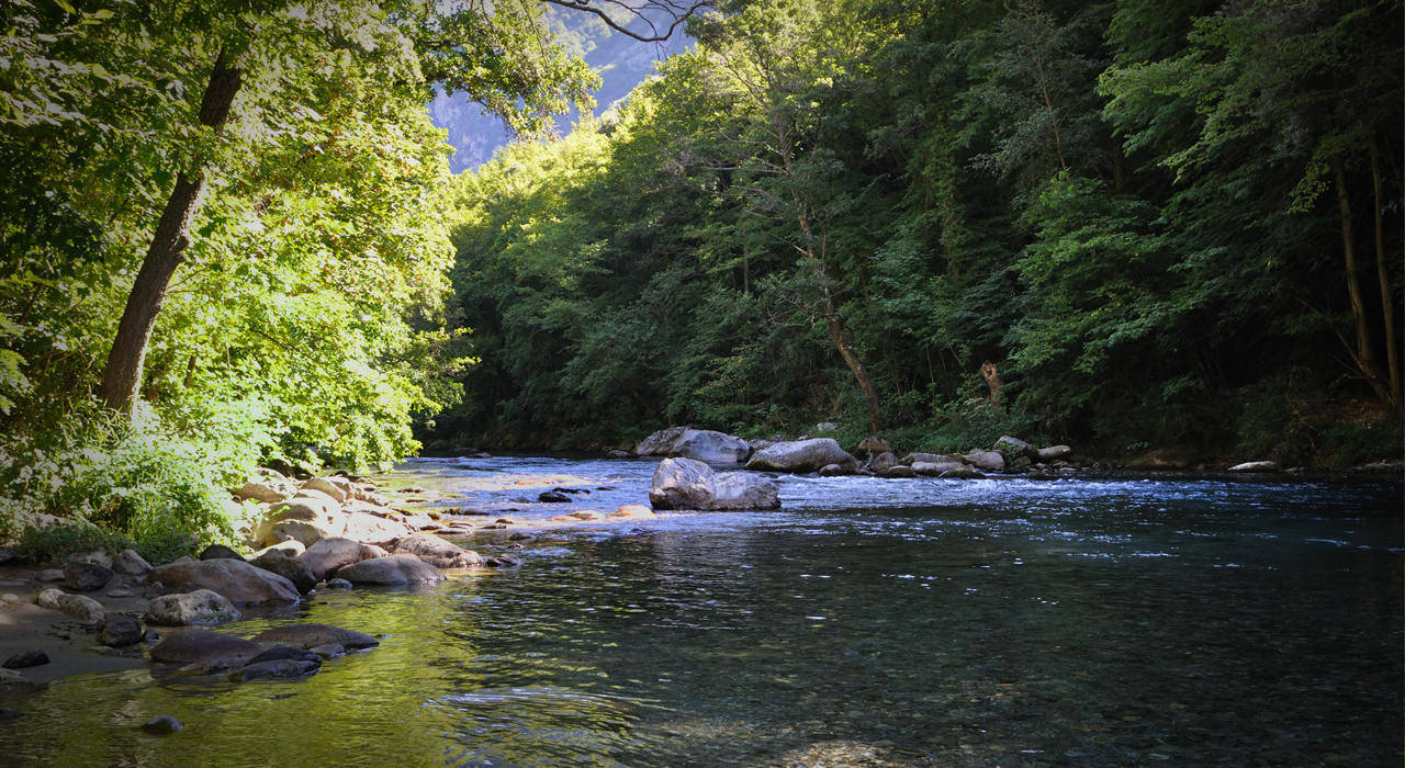 RIVIERE
