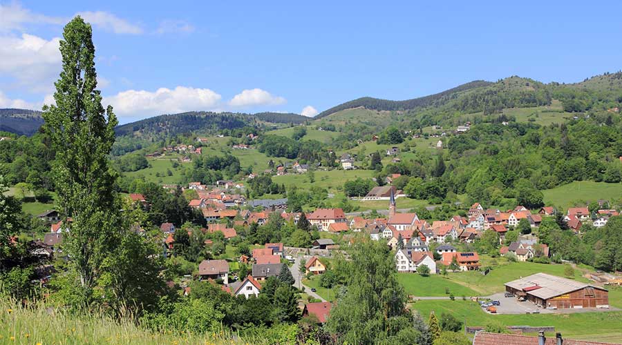 notaires rural