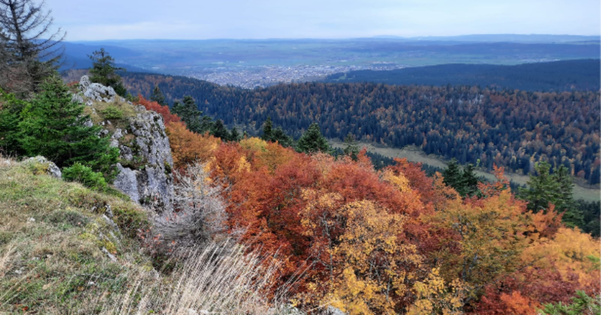 la plaine de l'arlier vue du larmont