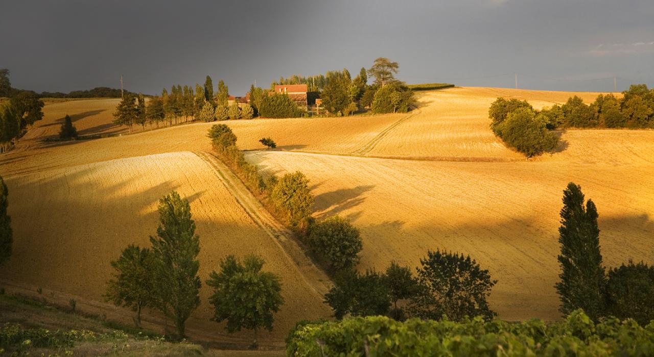notaires rural