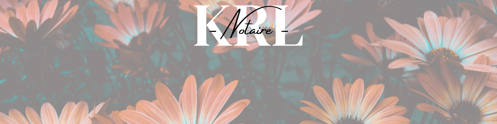 notaire occitanie tarn toulouse albi saint sulpice la pointe