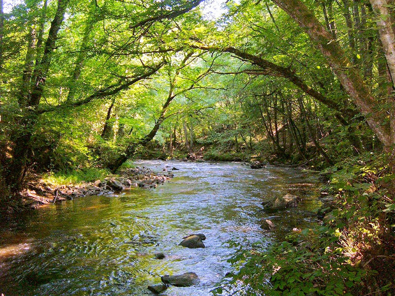 morvan
