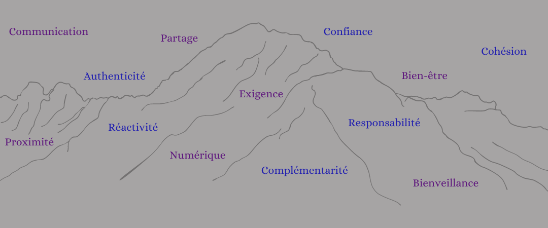 Groupe de mots - valeurs de l'étude
