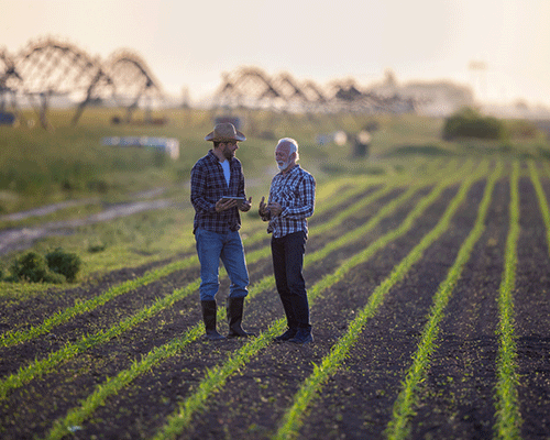 Donation de son vivant à ses enfants notaire Mont-Saint-Aignan