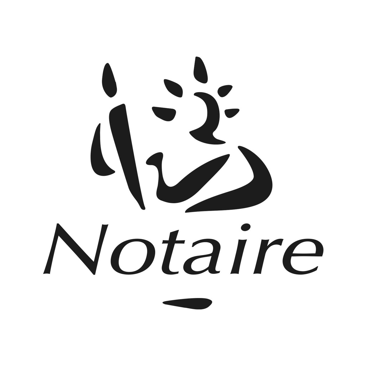 etude rurale notaire rethel logo marianne jordan mathieu notaire immobilier droit de la famille droit rural immeuble à vendre pas cher