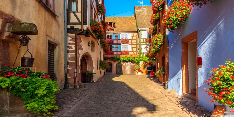 paysage alsace