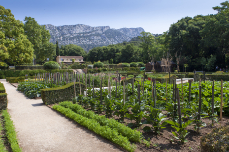 notaire agricole rural dutreil
