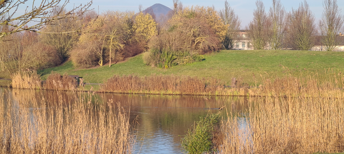 lac 1