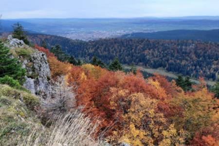 la plaine de l'arlier vue du larmont