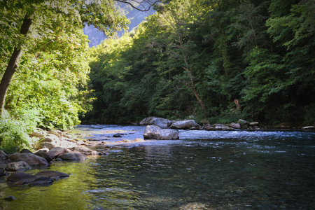 RIVIERE