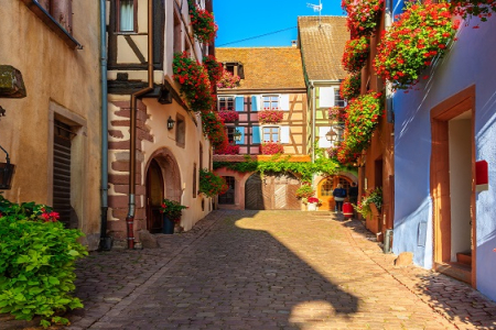 paysage alsace
